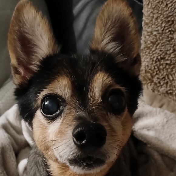 Meet your Posher, Ewa - Picture 14 of 16